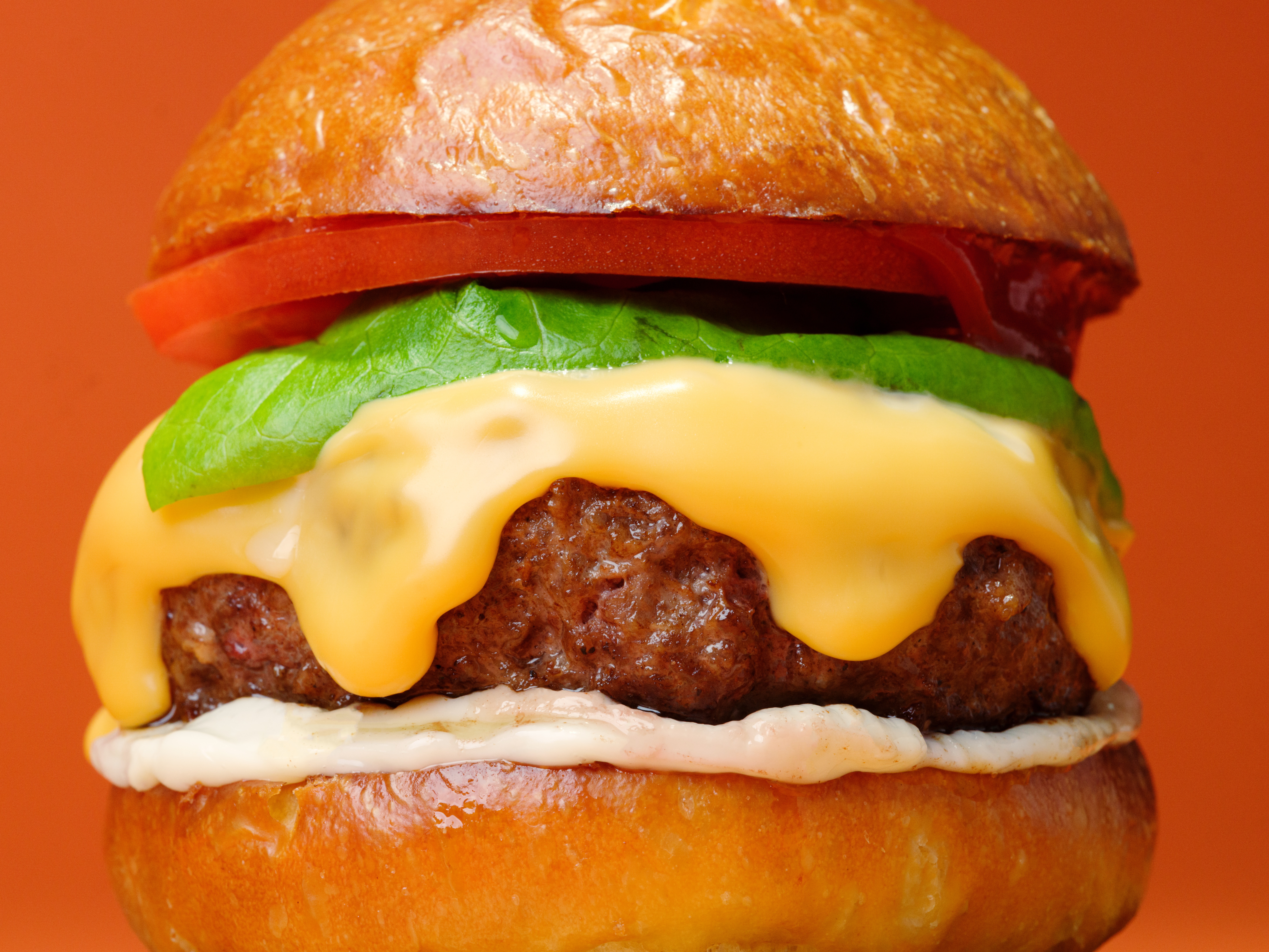 convert?fit=crop&w=120&h=120&quality=100&cache=true&rotate=exif&compress=true