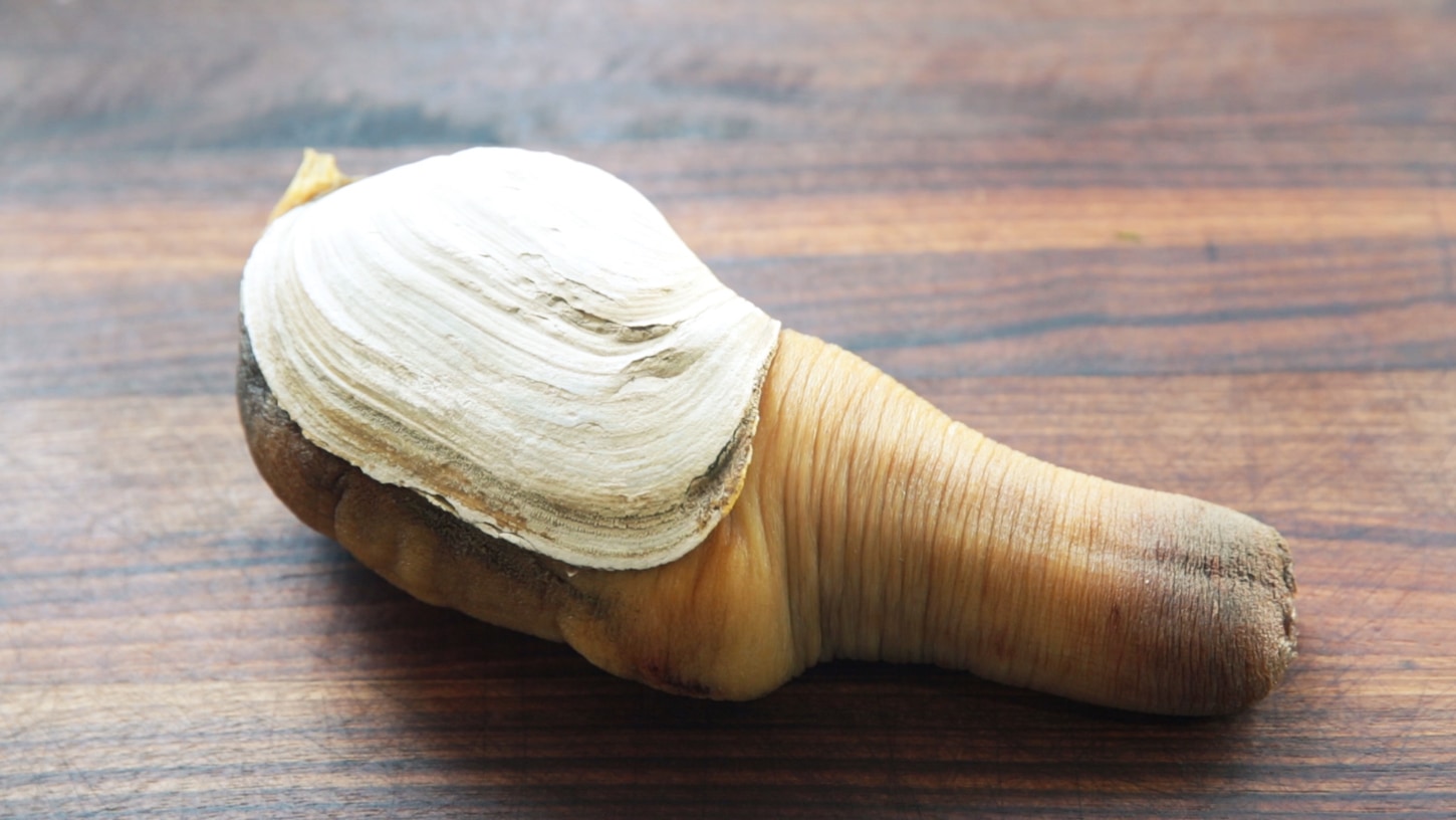 Cleaning Geoduck | ChefSteps