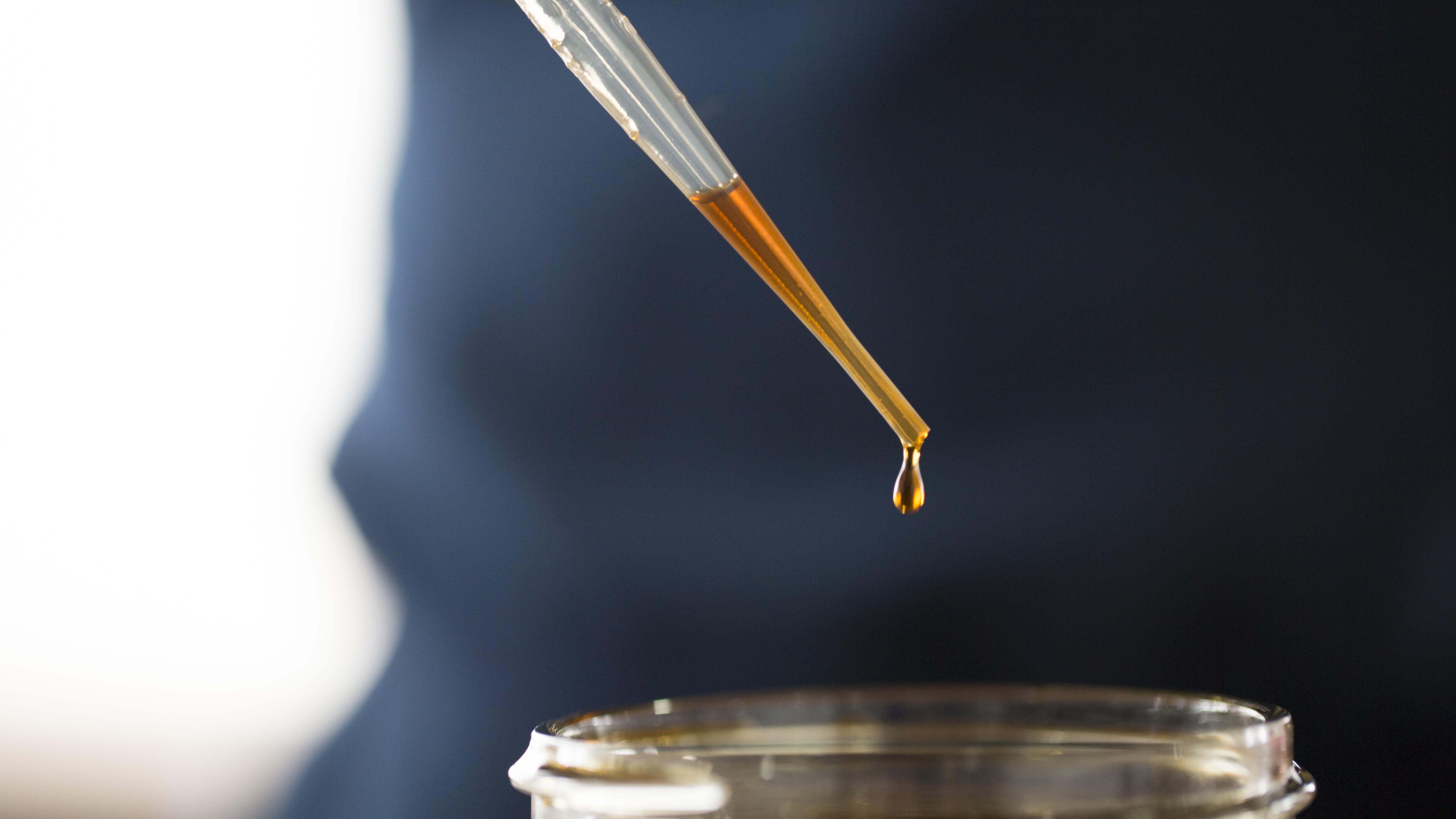 convert?fit=crop&w=120&h=120&quality=100&cache=true&rotate=exif&compress=true