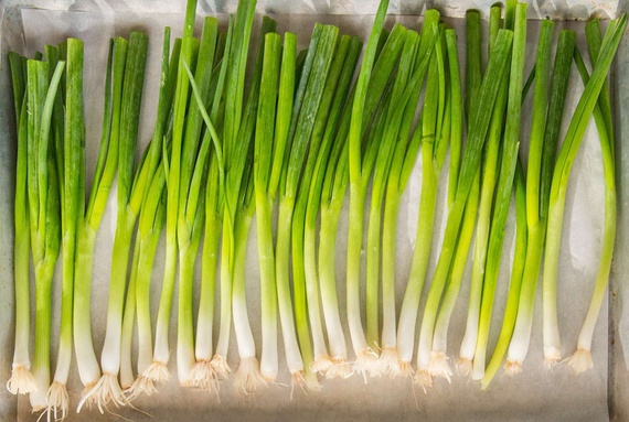 what is a scallion