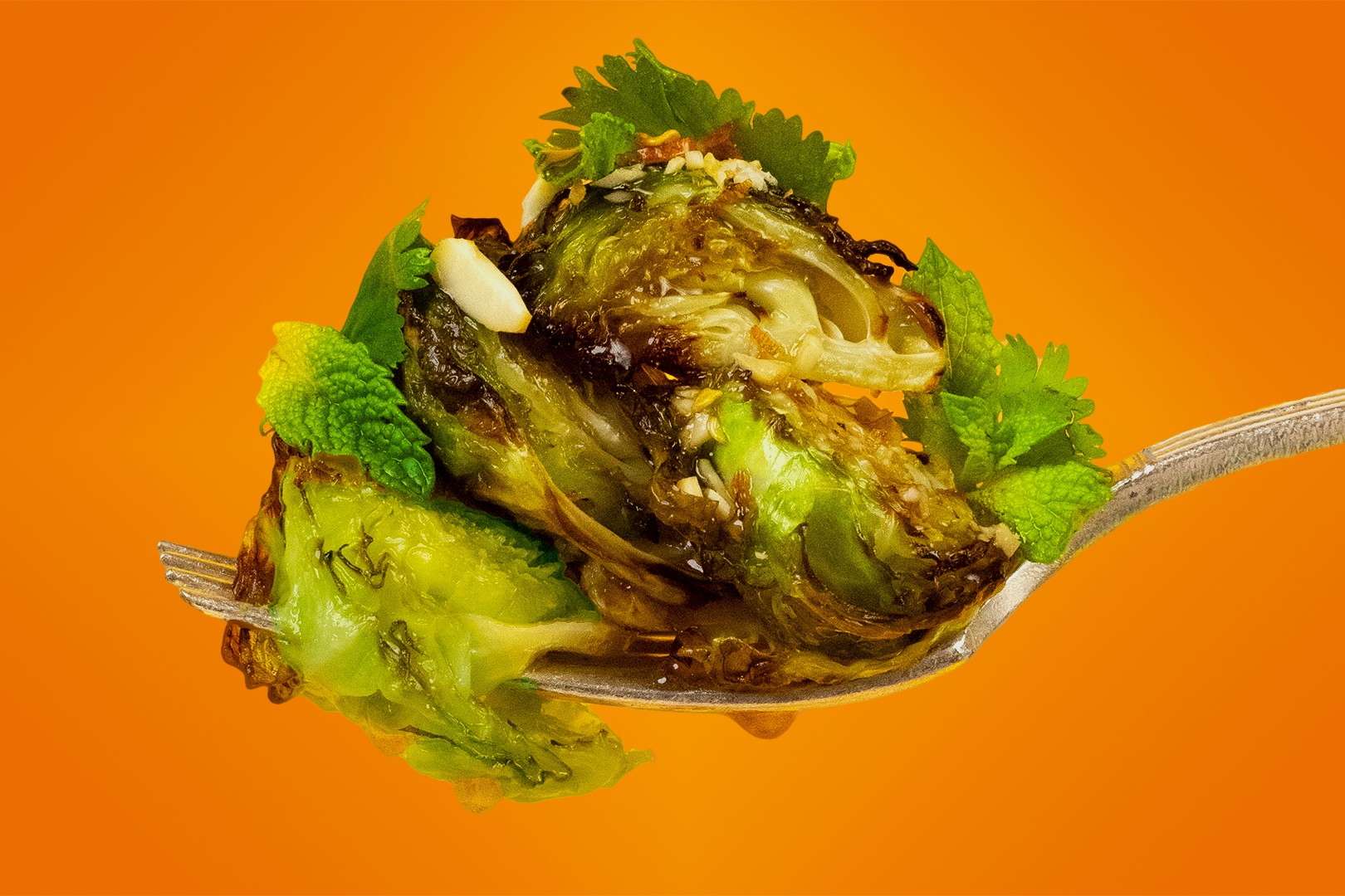 convert?fit=crop&w=120&h=120&quality=100&cache=true&rotate=exif&compress=true