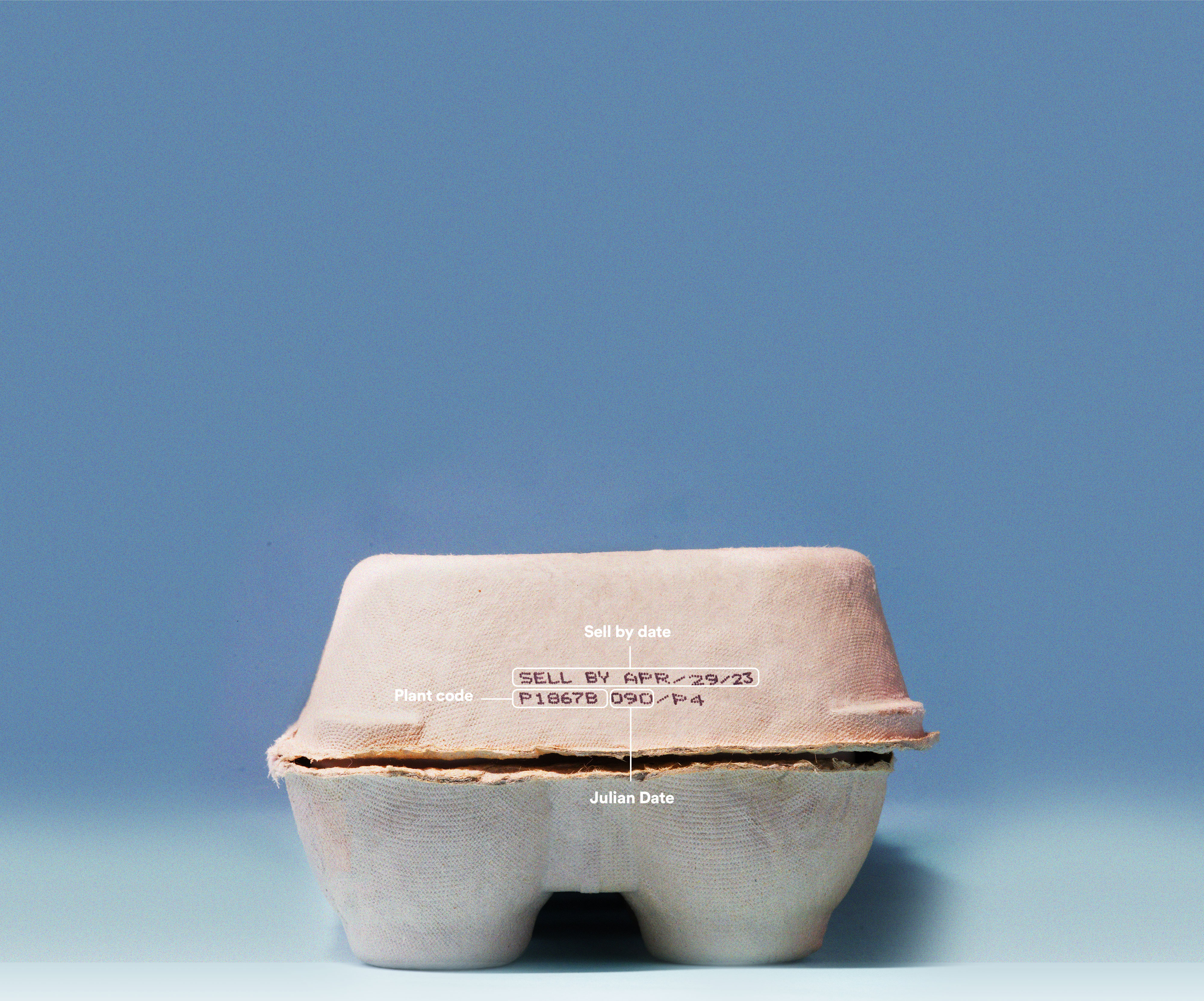 Unpacking Freshness: The Egg Carton Decoder | ChefSteps