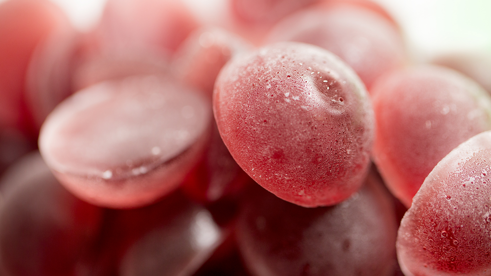 Wine Gummies! Recipe ChefSteps