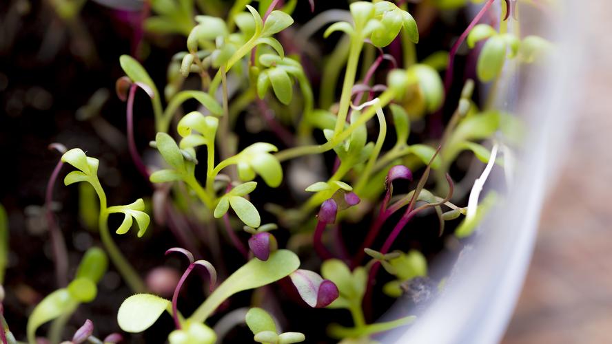 convert?fit=crop&w=120&h=120&quality=100&cache=true&rotate=exif&compress=true