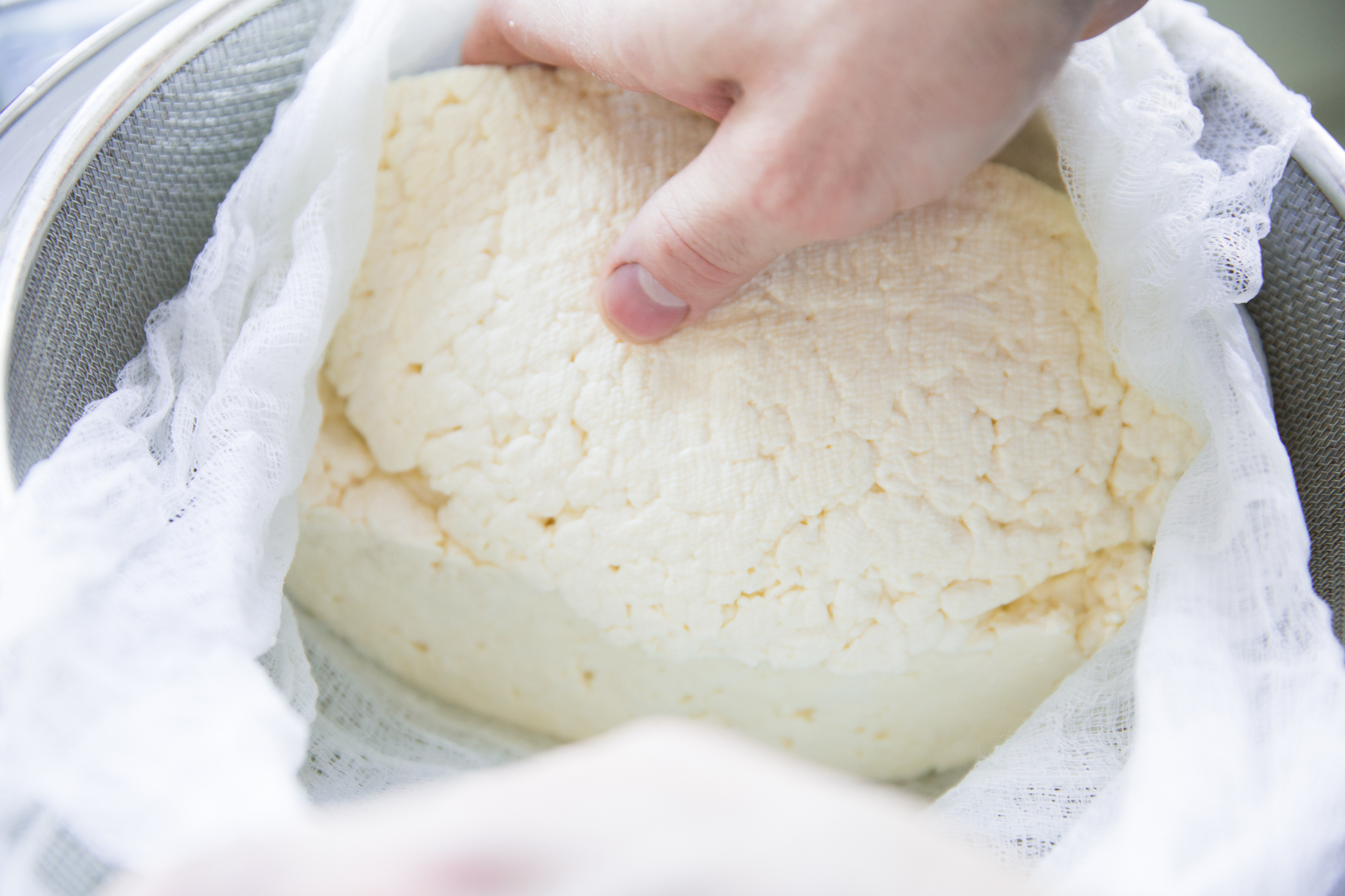 How to Make Squeaky Cheese Curds Just Like Beecher’s Sous Vide Recipe