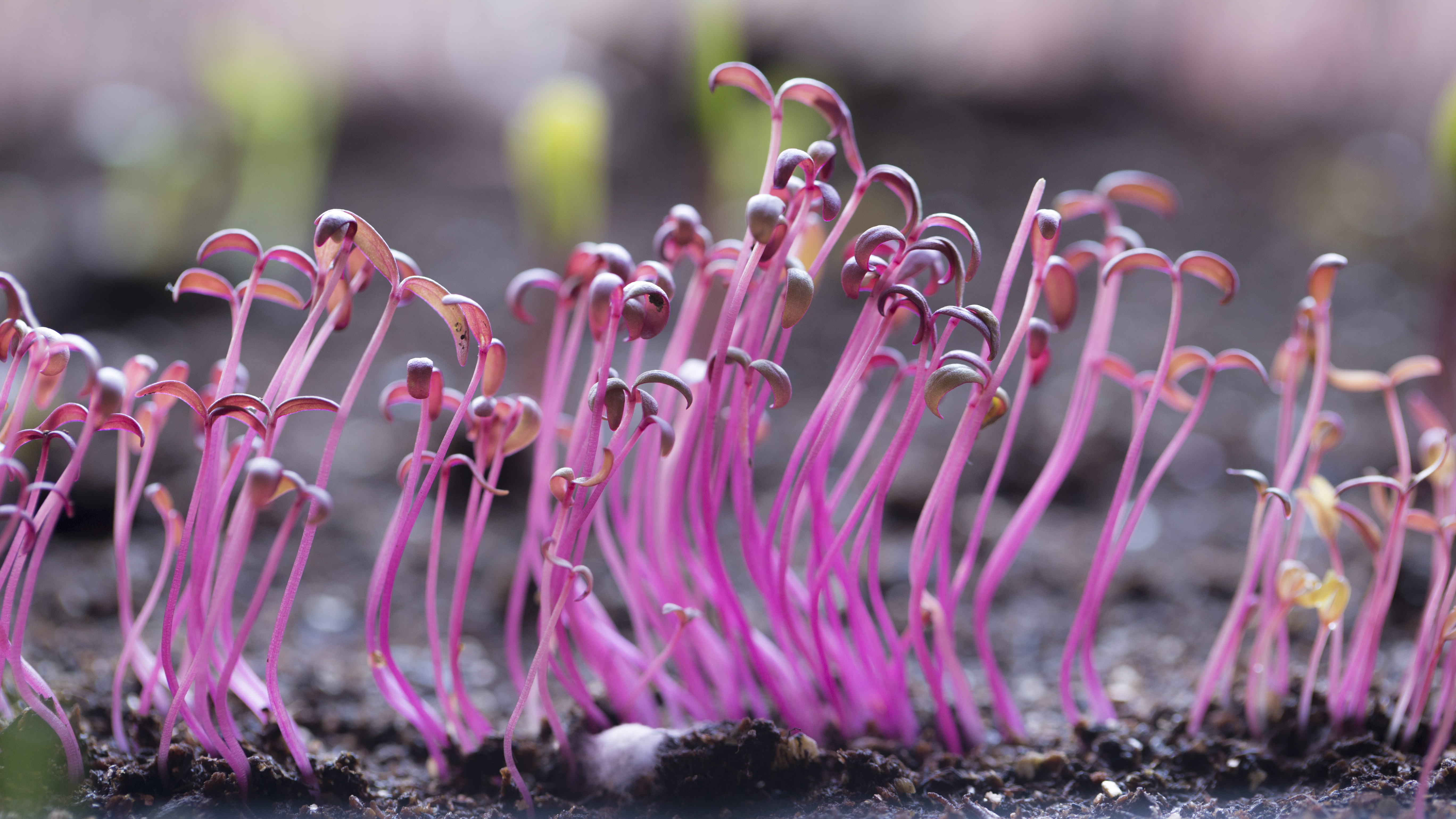 convert?fit=crop&w=120&h=120&quality=100&cache=true&rotate=exif&compress=true