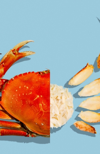 dungeness-crab-guide