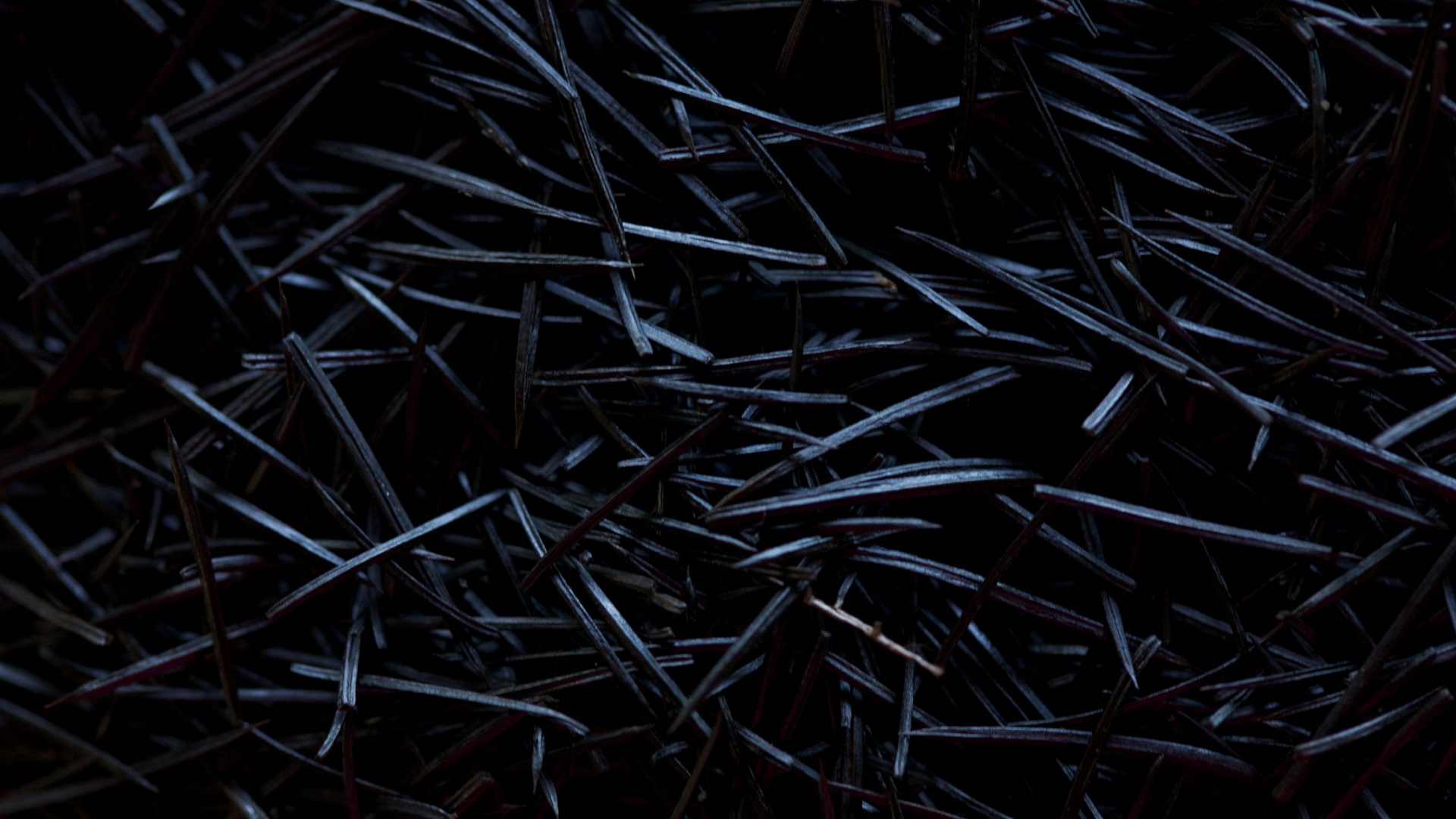G1vZhI6HQwqSOq2RZBcy