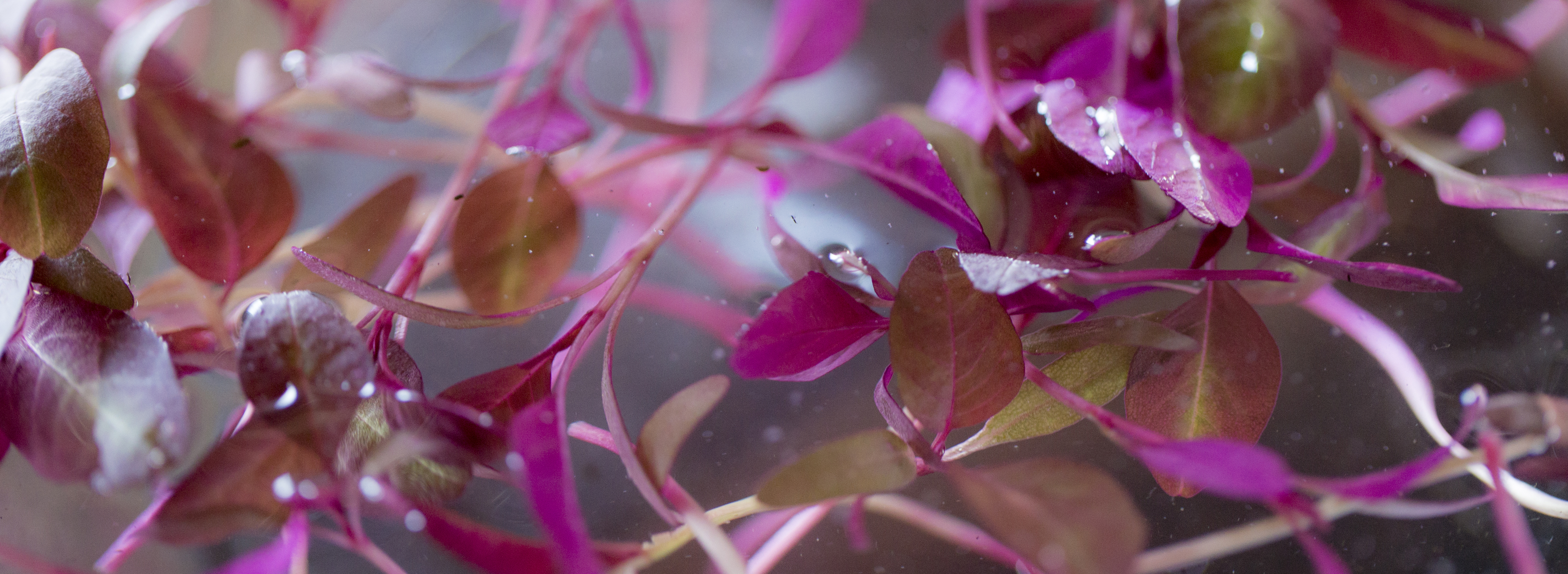 convert?fit=crop&w=120&h=120&quality=100&cache=true&rotate=exif&compress=true