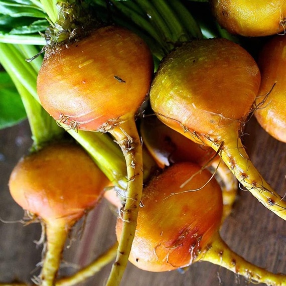 yellow beets