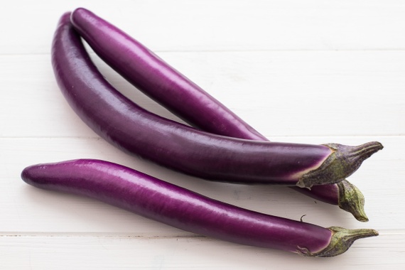 japanese eggplant plant