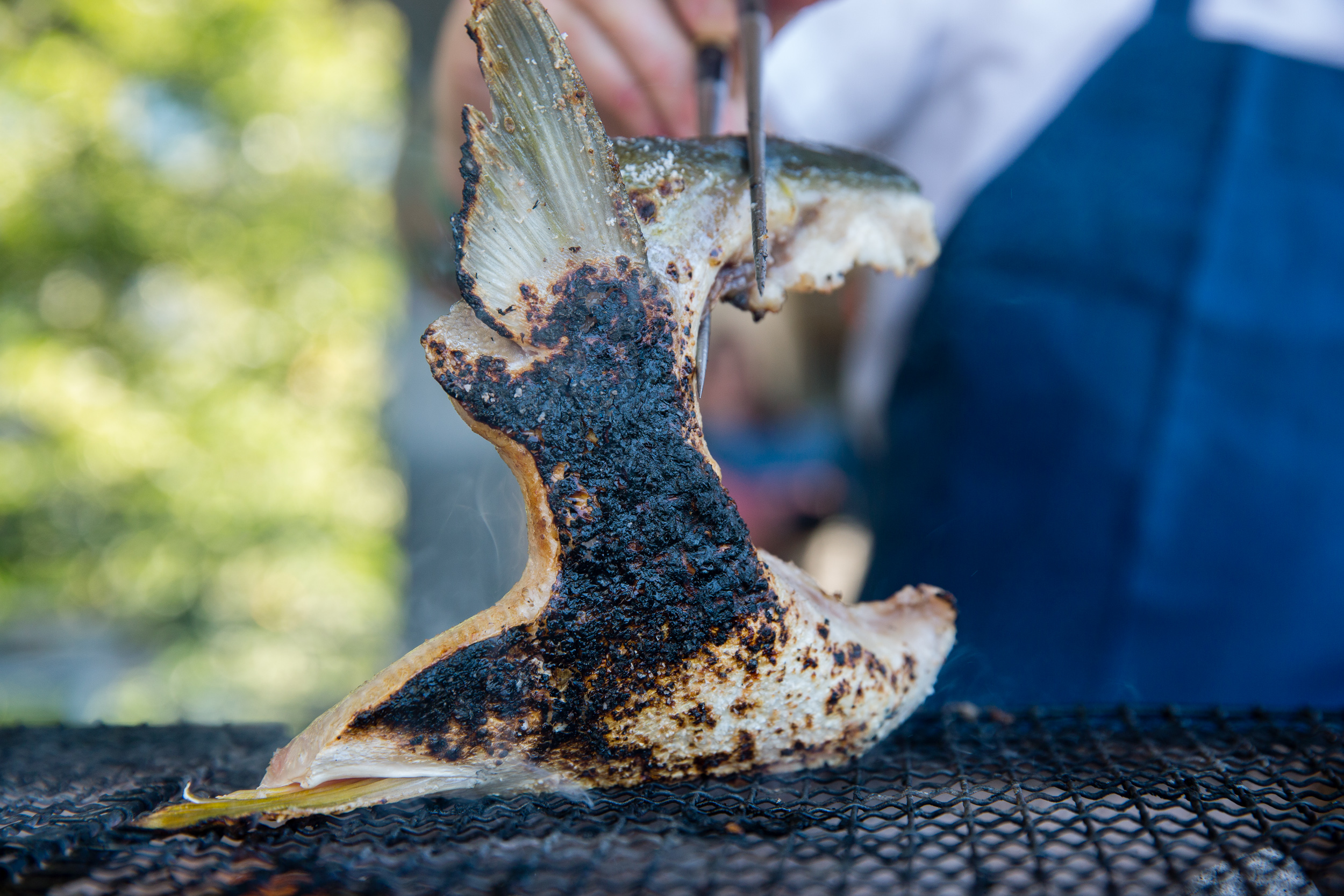 Grilled Hamachi Collar With Marinated Mushrooms and Quick Pickles