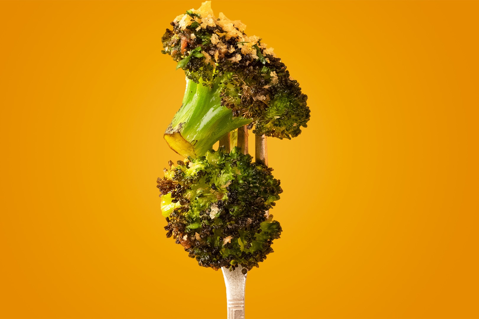 convert?fit=crop&w=120&h=120&quality=100&cache=true&rotate=exif&compress=true