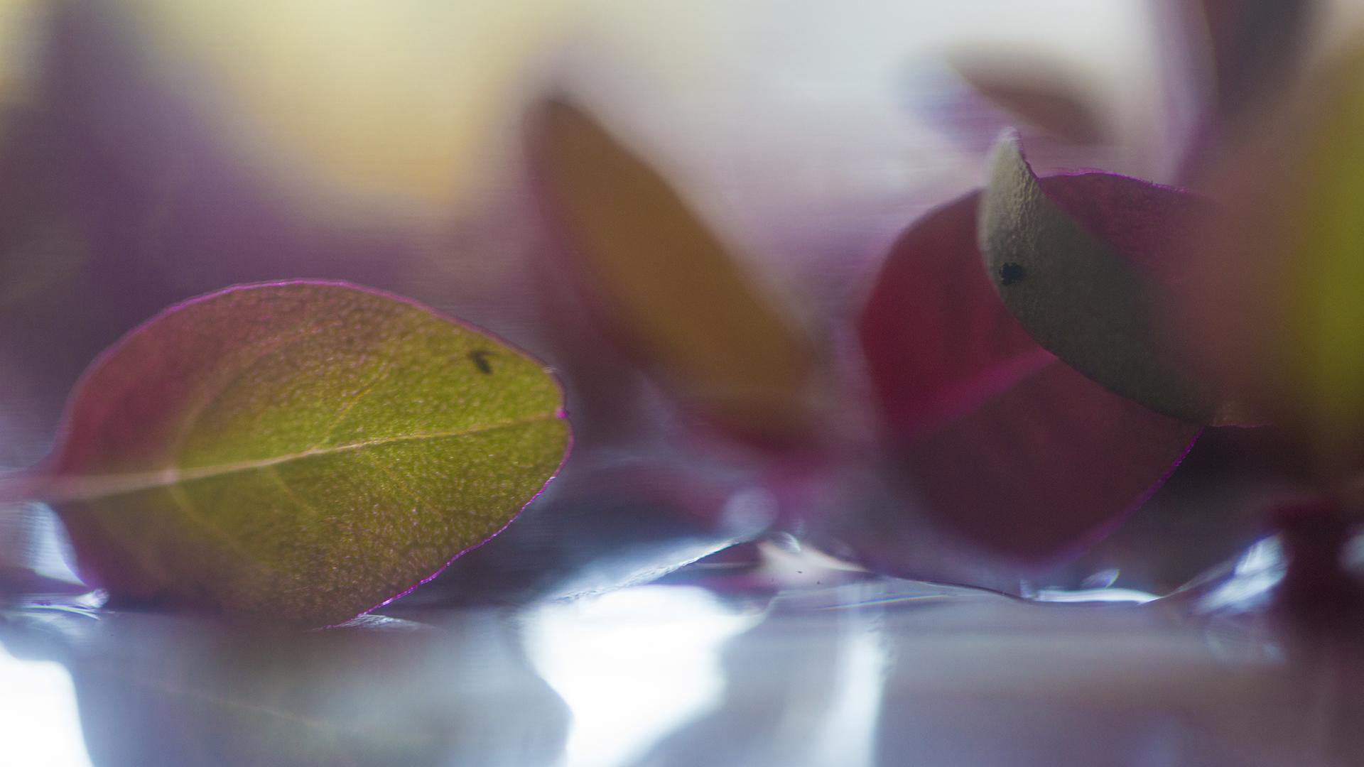 convert?fit=crop&w=120&h=120&quality=100&cache=true&rotate=exif&compress=true