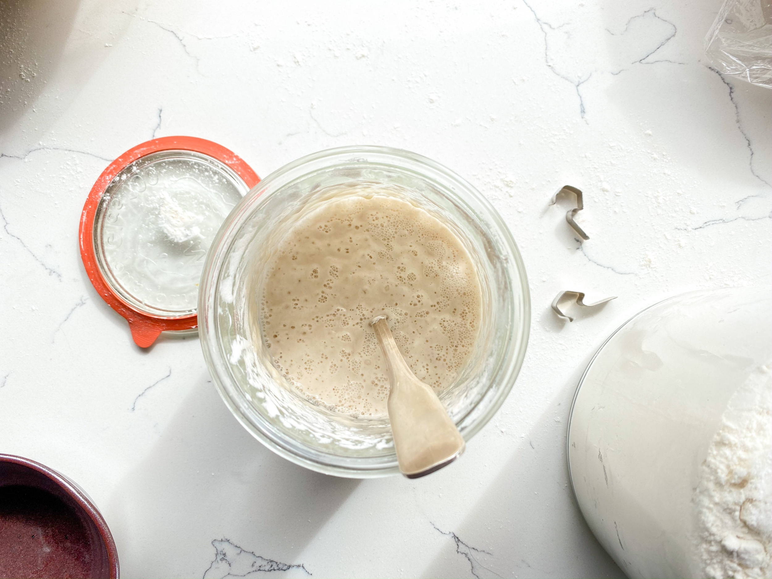 How to Make a Sourdough Starter ChefSteps