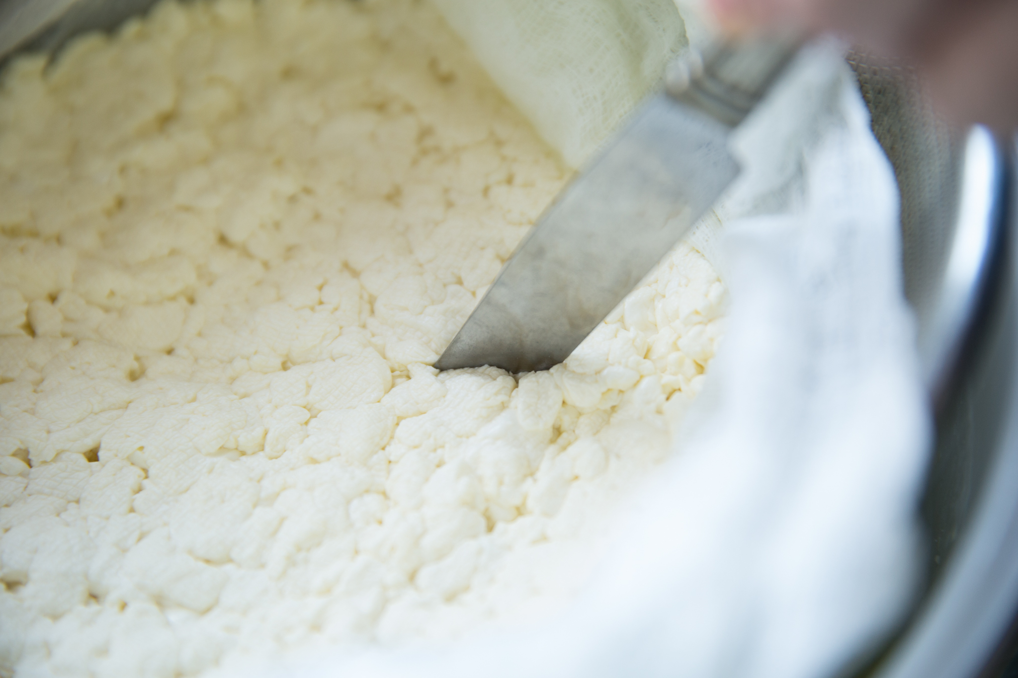 How to Make Squeaky Cheese Curds Just Like Beecher’s Sous Vide Recipe