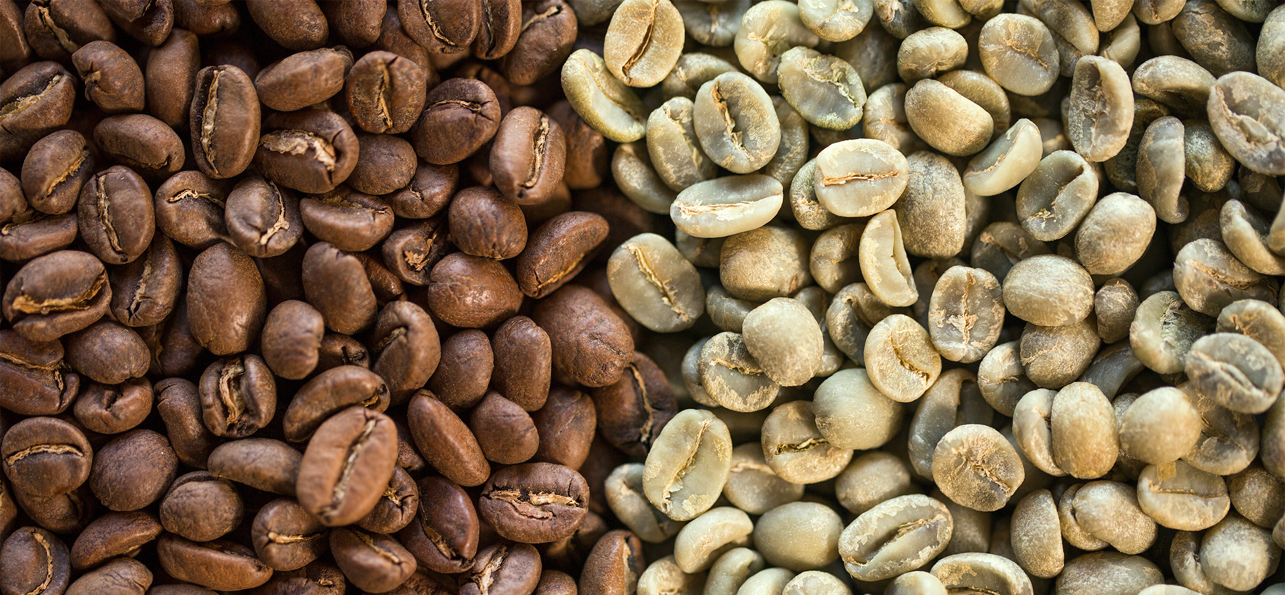 convert?fit=crop&w=120&h=120&quality=100&cache=true&rotate=exif&compress=true