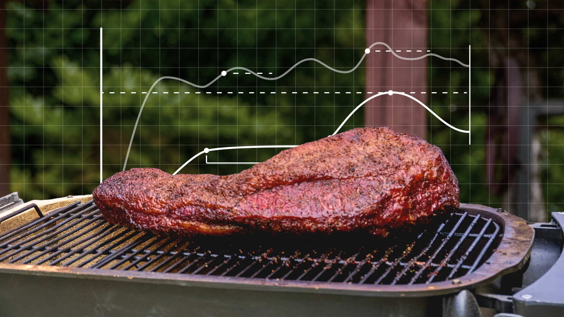 convert?fit=crop&w=120&h=120&quality=100&cache=true&rotate=exif&compress=true