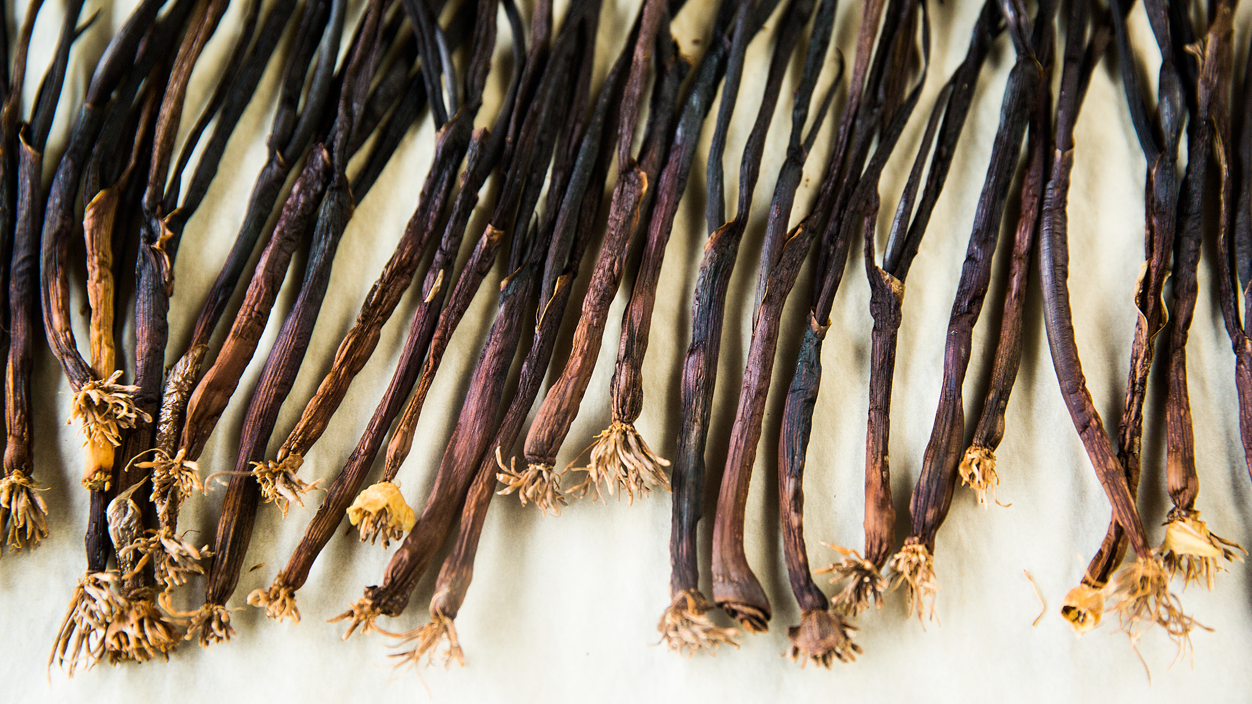 convert?fit=crop&w=120&h=120&quality=100&cache=true&rotate=exif&compress=true