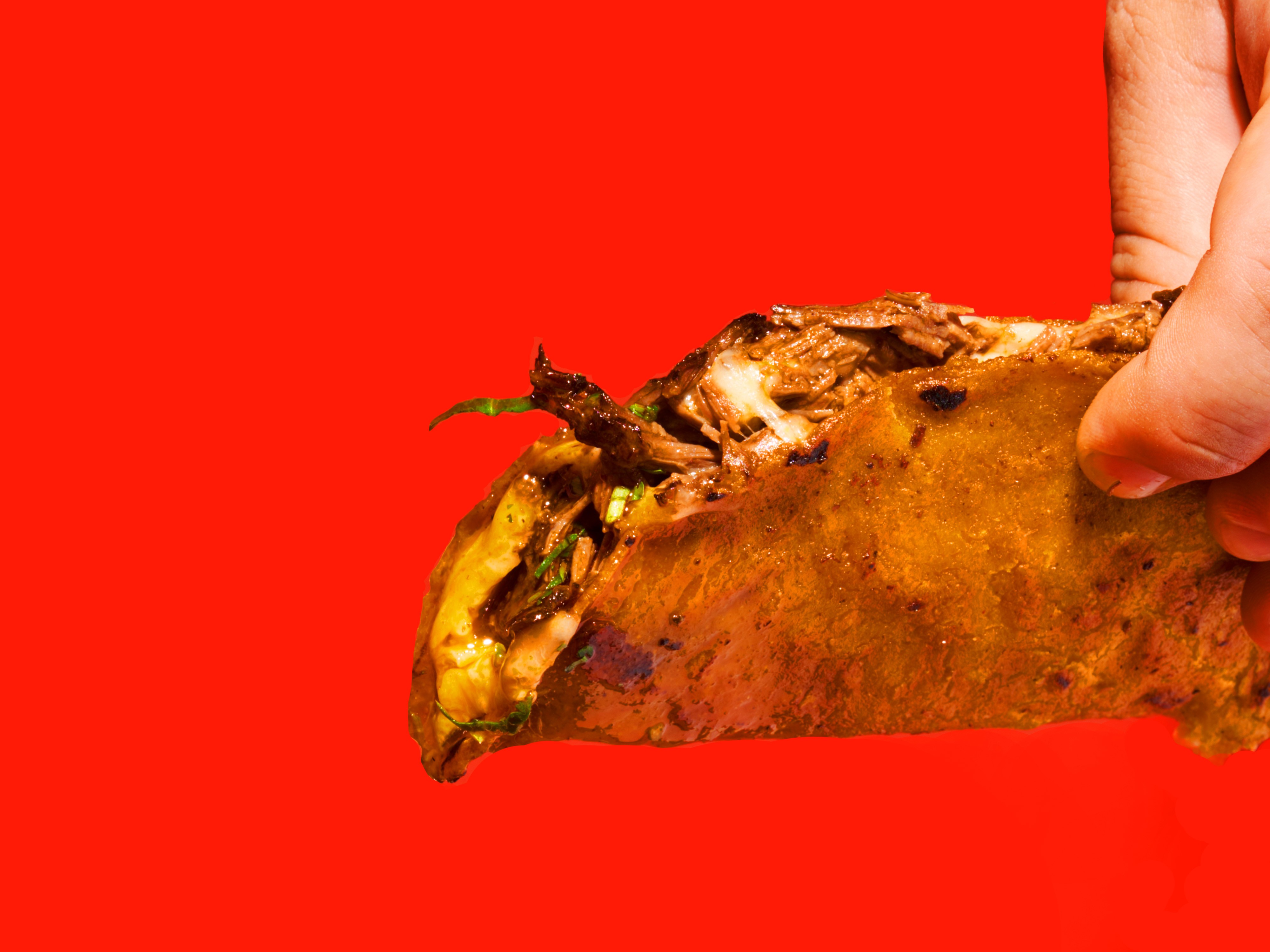 Quesabirria Tacos