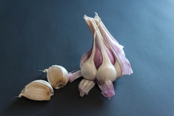 Chef'n Garlic Zoom, Allium sativum, chef, We're ready to zoom into the  weekend! The Chef'n Garlic Zoom is a great gadget for garlic lovers!