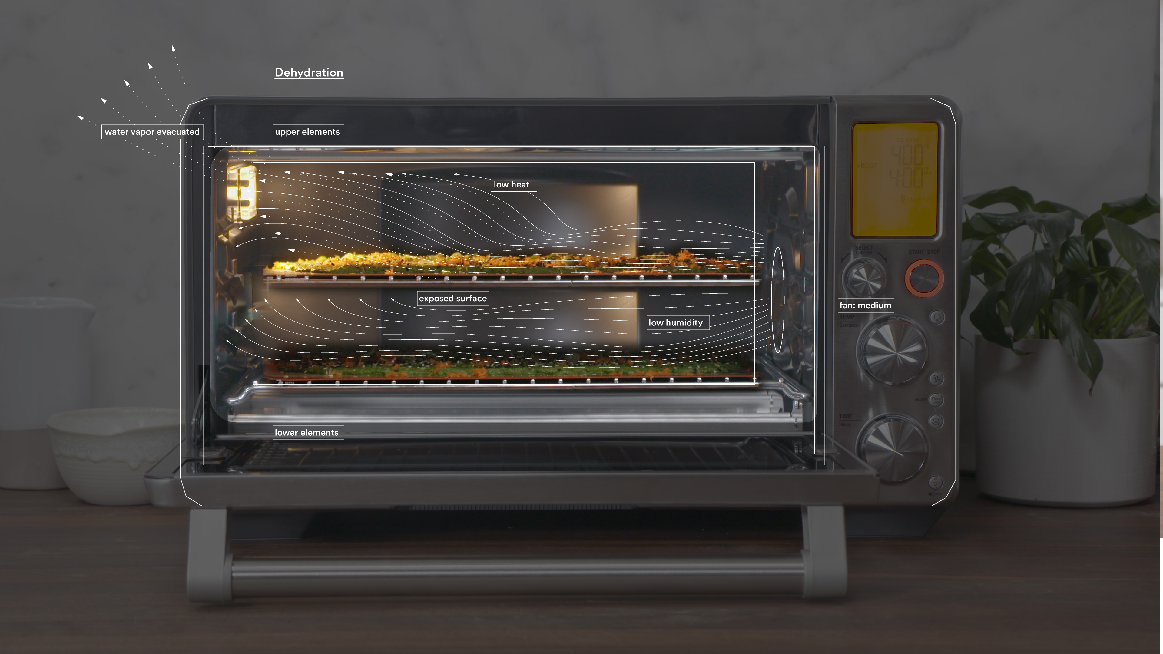convert?fit=crop&w=120&h=120&quality=100&cache=true&rotate=exif&compress=true
