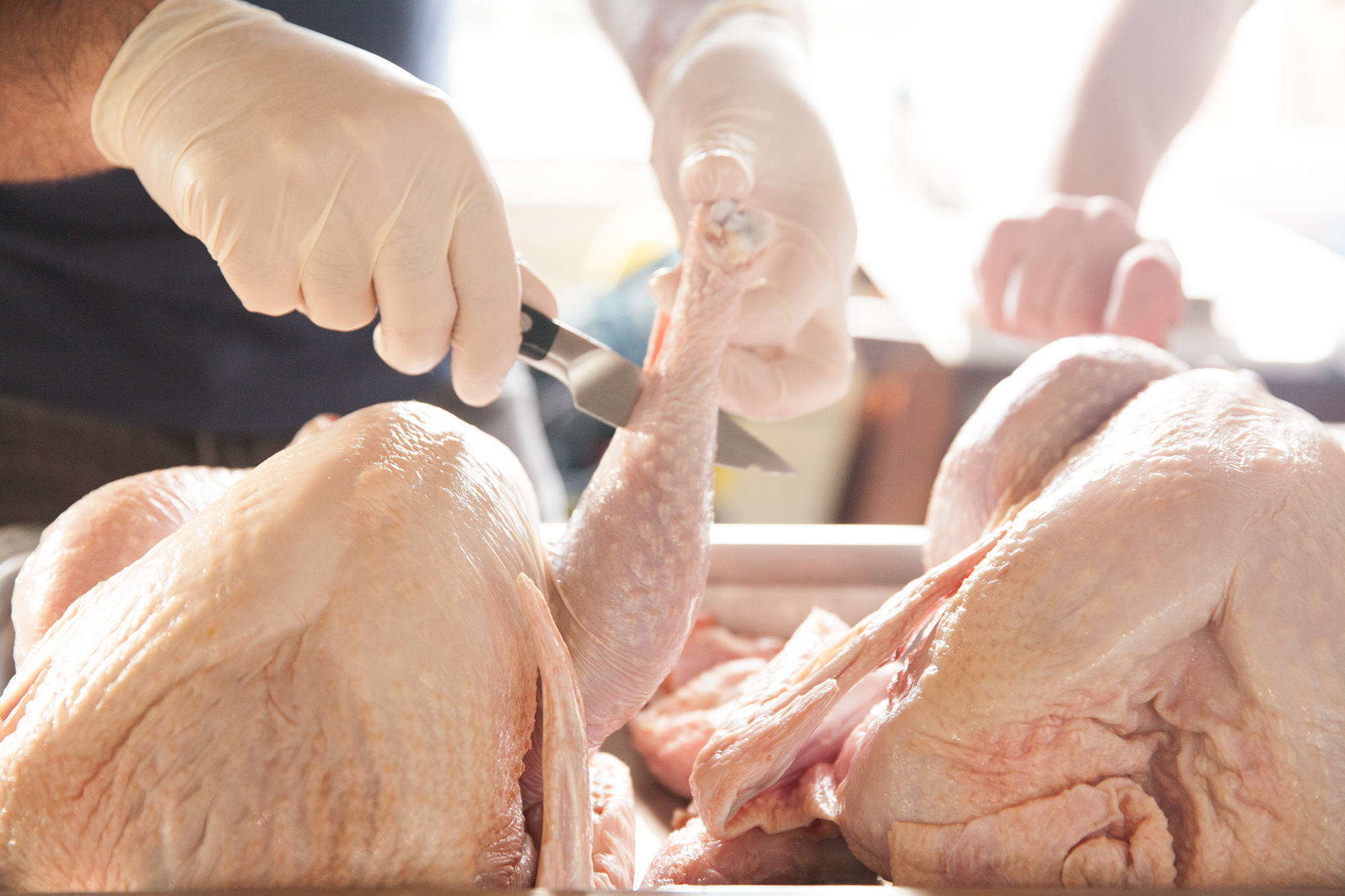 convert?fit=crop&w=120&h=120&quality=100&cache=true&rotate=exif&compress=true