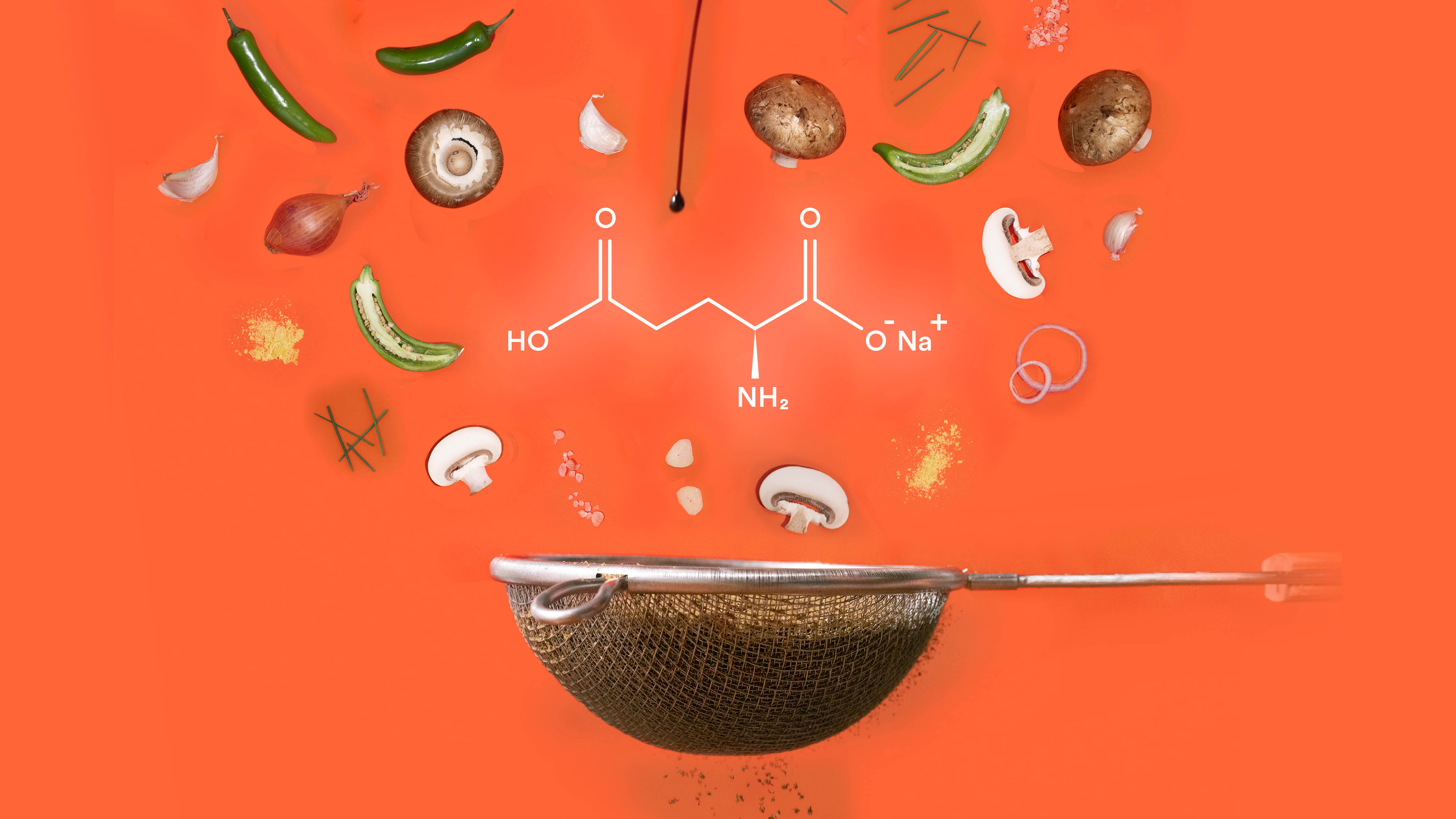 The Ultimate Umami Seasoning Powder