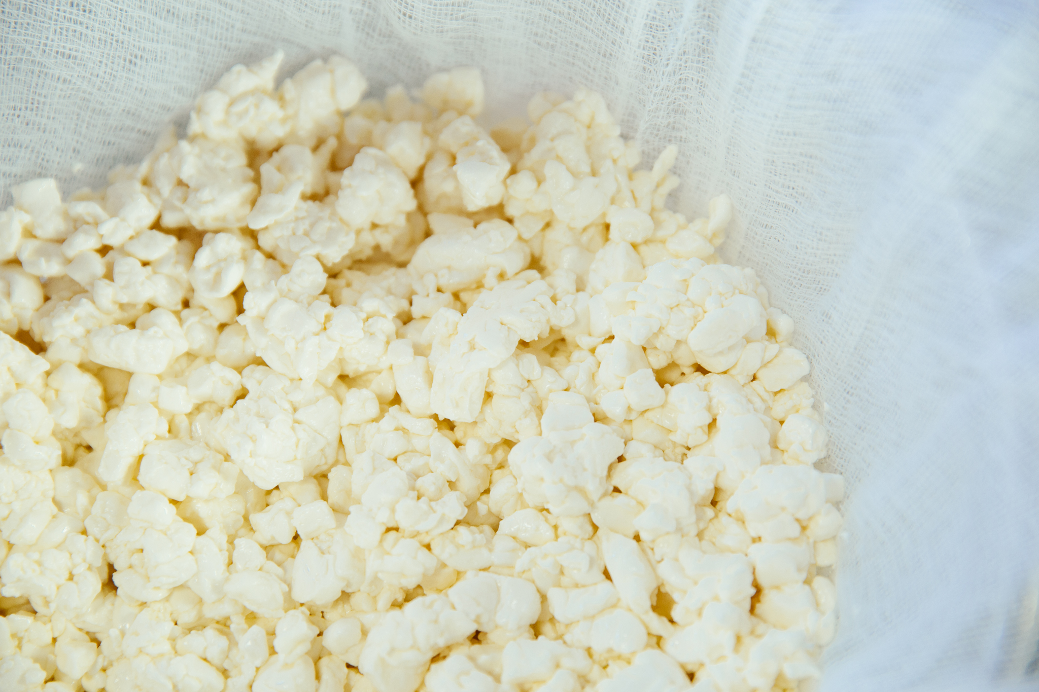 How to Make Squeaky Cheese Curds Just Like Beecher’s Sous Vide Recipe
