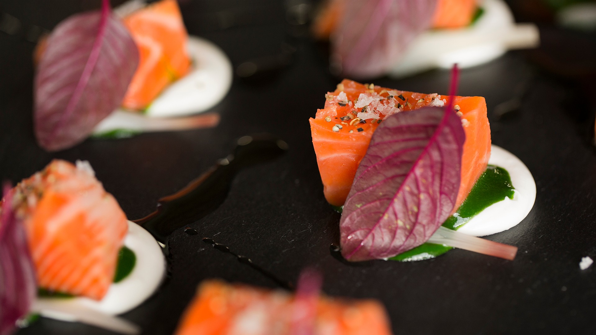 Salmon 104 F