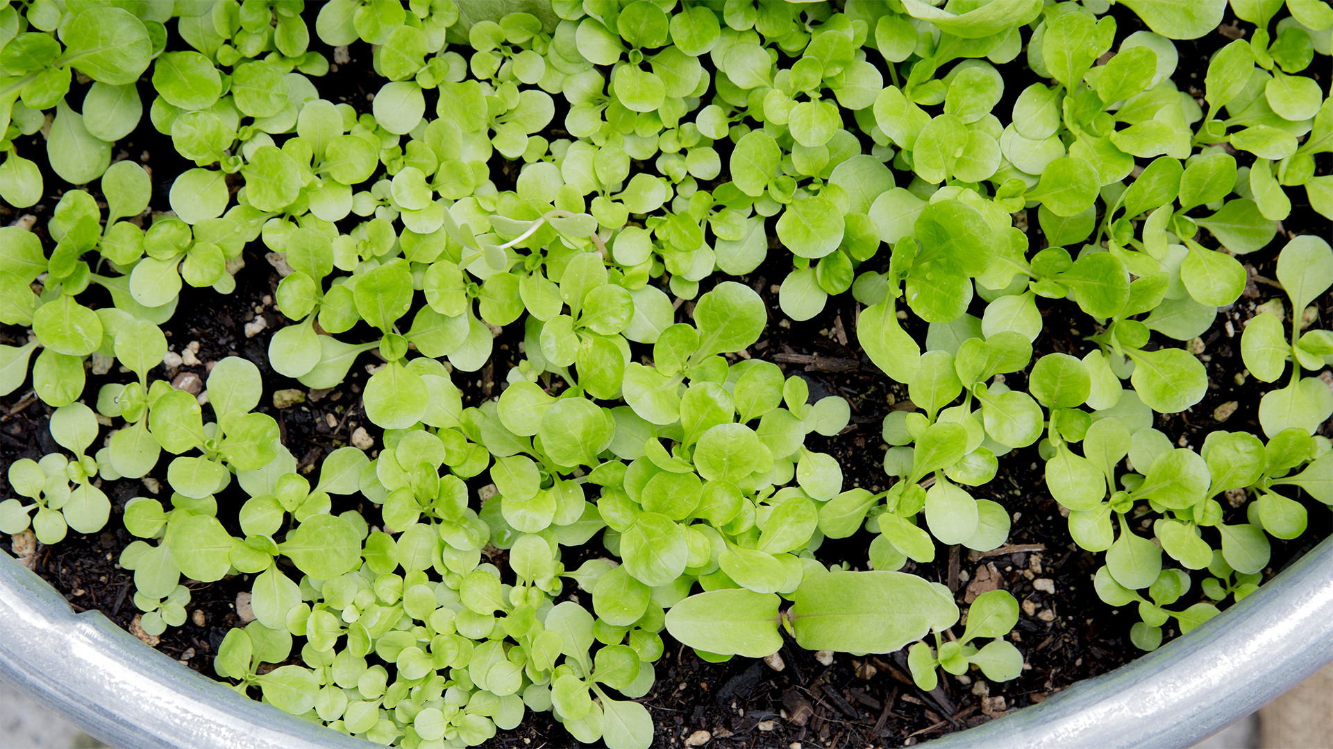 convert?fit=crop&w=120&h=120&quality=100&cache=true&rotate=exif&compress=true