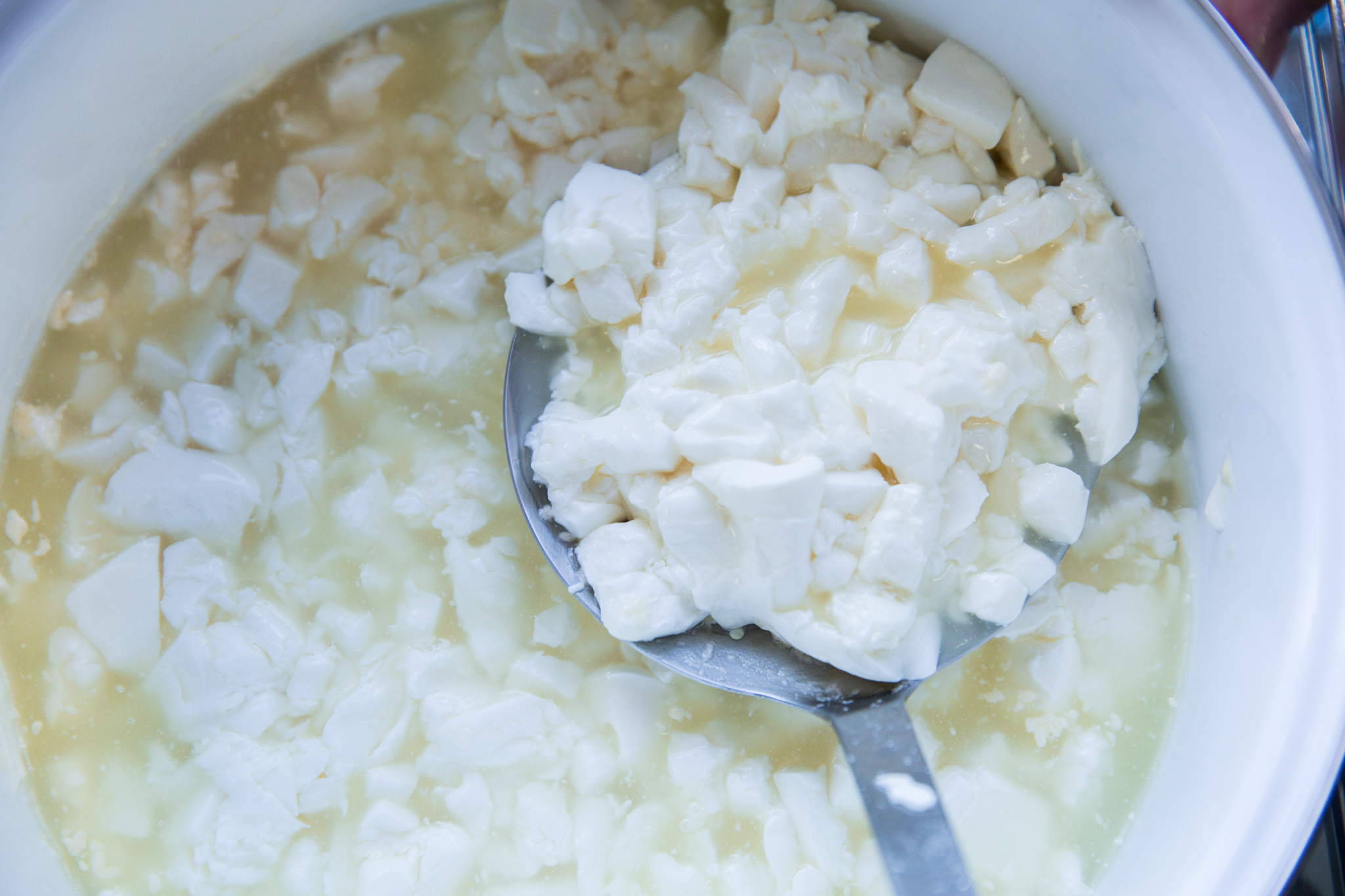 How to Make Squeaky Cheese Curds Just Like Beecher’s Sous Vide Recipe