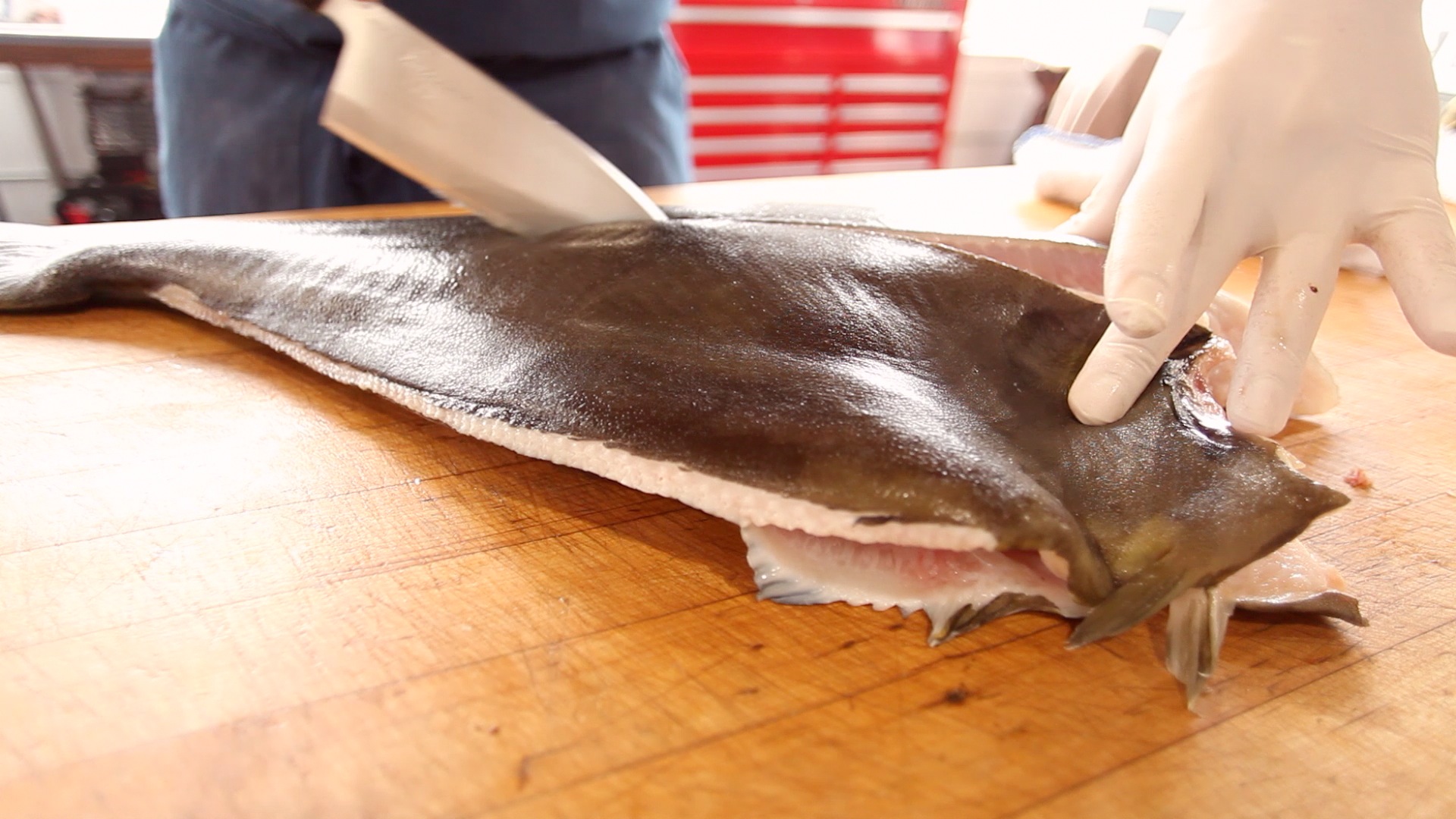 Butchery • Halibut ChefSteps
