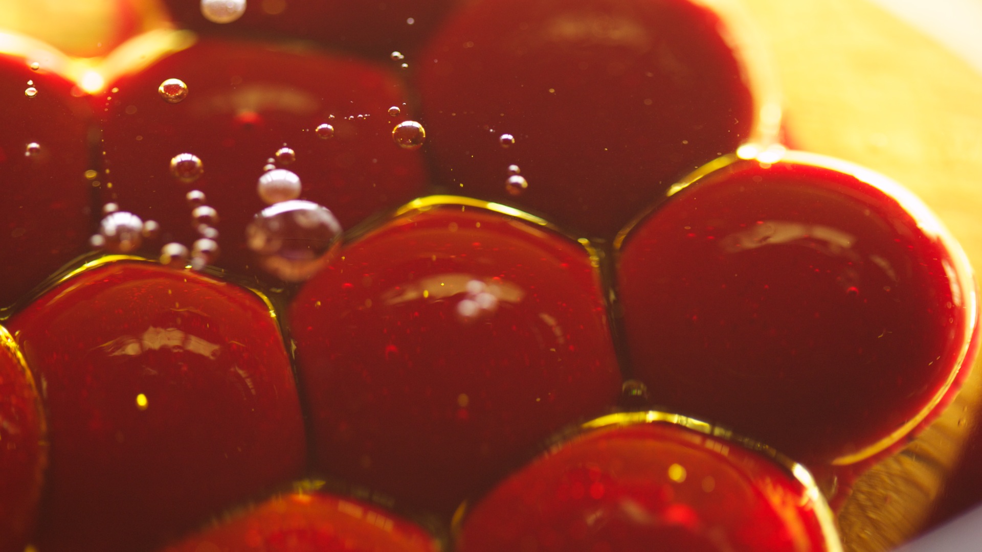 convert?fit=crop&w=120&h=120&quality=100&cache=true&rotate=exif&compress=true