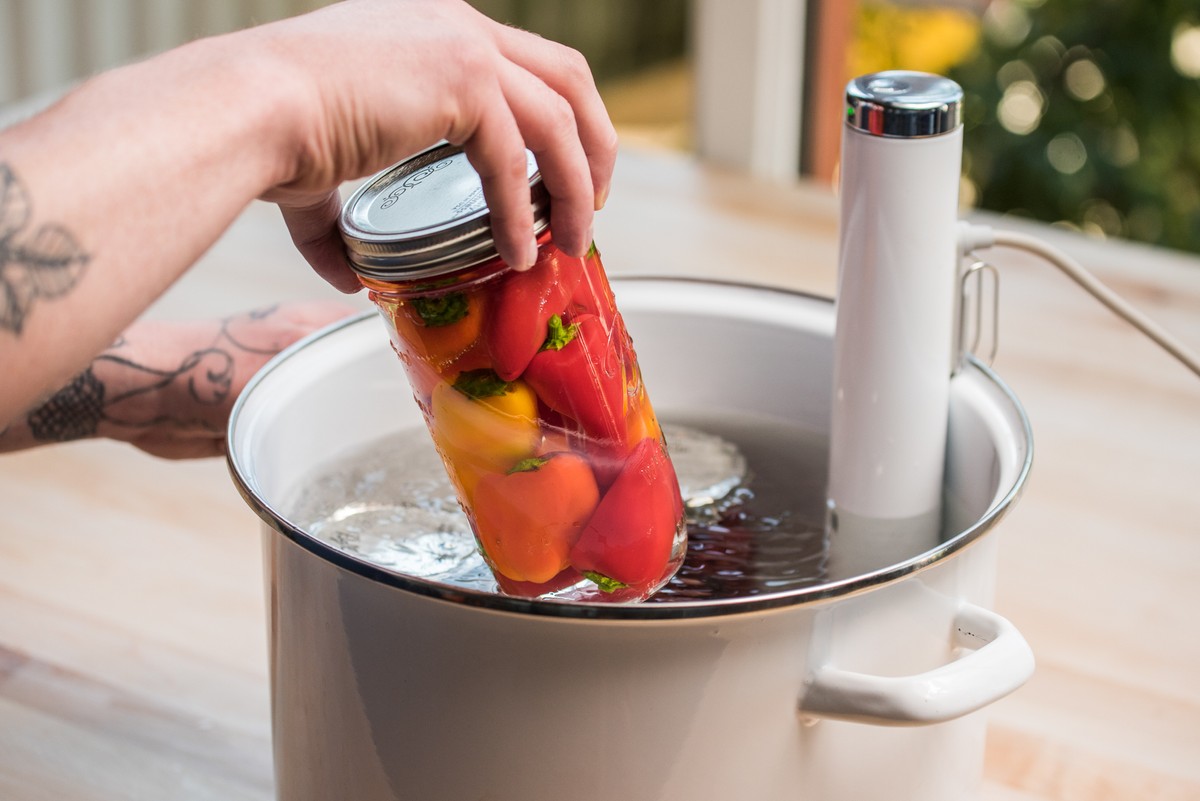 Joule Sous Vide by ChefSteps Review: Small But Powerful