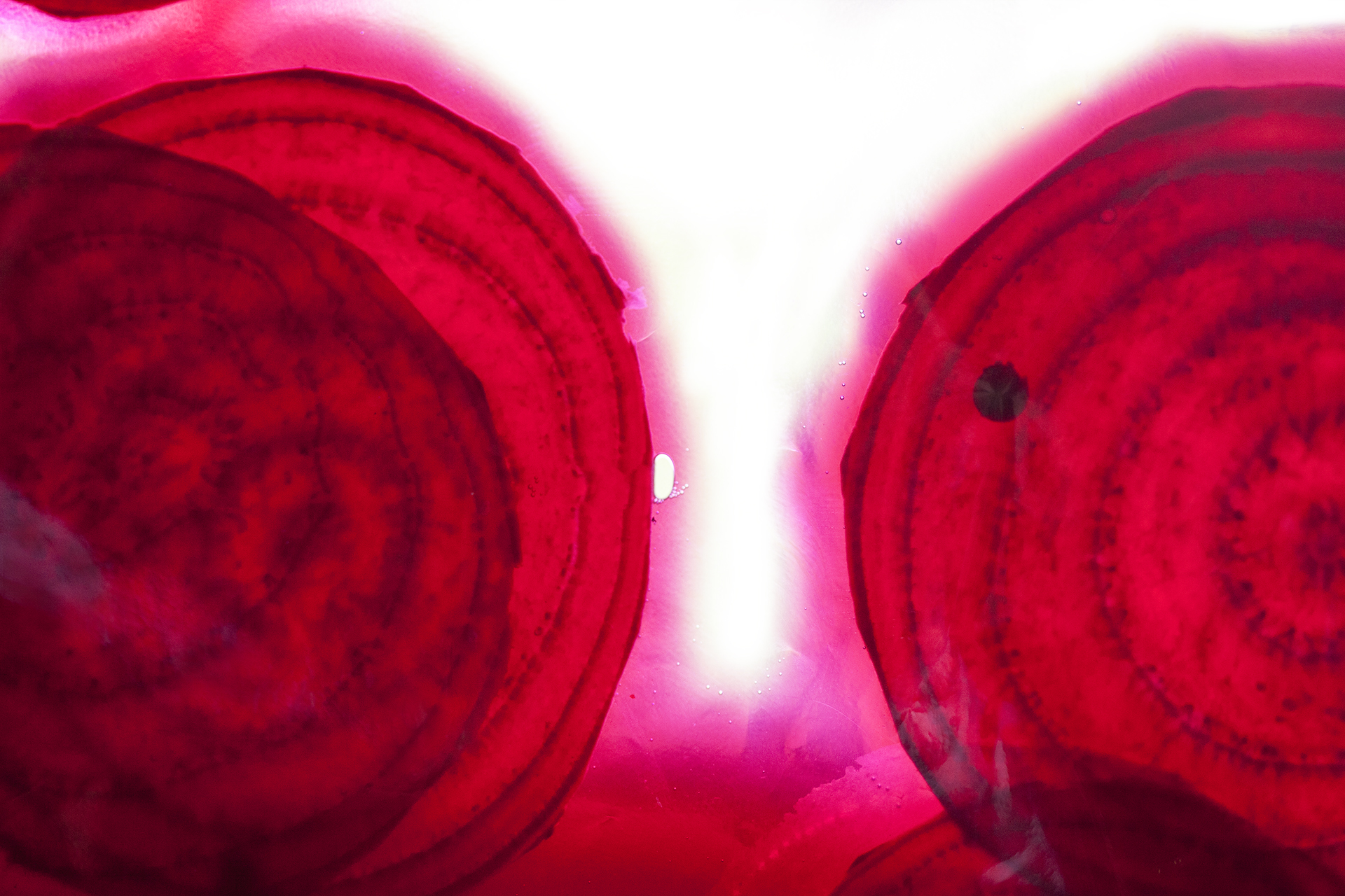 convert?fit=crop&w=120&h=120&quality=100&cache=true&rotate=exif&compress=true