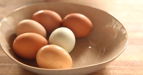 The British Lion stamp on eggs tells you alot more than just the best  before date - who knew about the numbering system to show whether they're  from caged or free-range hens? 